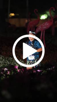 BIB:  <button type="button" onclick="openModal(27591165)" class="btn btn-primary btn-sm float-right" data-toggle="modal" data-target=".modal-high-quality">
                <i class="fa fa-download"></i> Download
                </button>